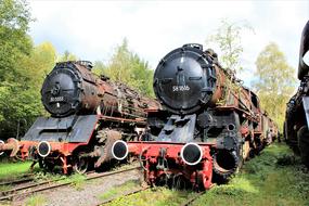 steam locomotives in the open-air railway museum