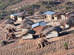 Village with the houses, among the green plants, in Malawi, Africa
