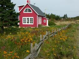 House Red Home and yellow flowers