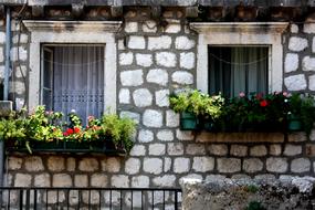 windows with curtains view