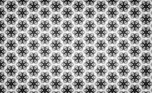 Black and white pattern with flowers of different shades, clipart