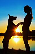 Doberman Silhouette Woman