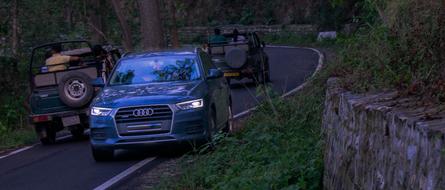 Audi on the edge of the road