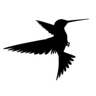 bird flying silhouette wings