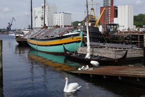 Flensburg Port and Swan Family