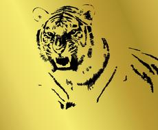 wallpaper animals tiger background