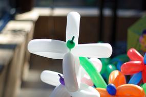 Balloon Flower