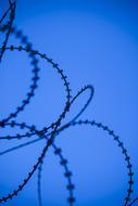 Blue Wire Prison