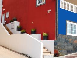 House Flowers red blue wall