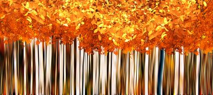 fall autumn yellow trees background