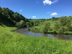 green grass near the river