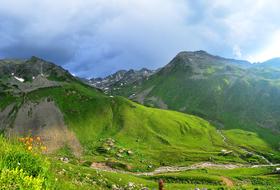 mountain in green grass