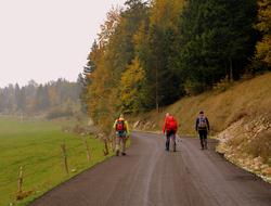 Excursion Walk Trekking