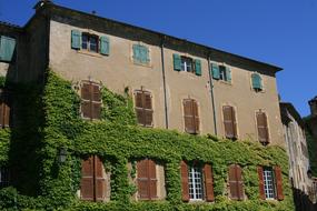 House and Ivy