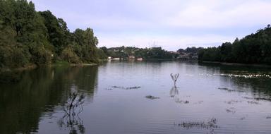 India Lake water and trees