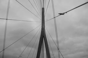 Cables Bridge in Normandy France