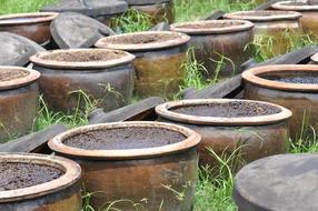 Ceramic flower pots