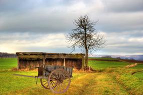 Cart Wood Car Scale