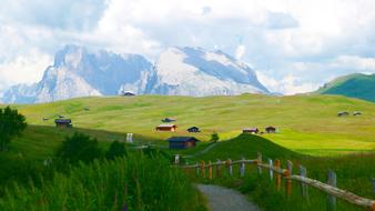a road in green meadows with a fence