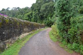 Path Road Way