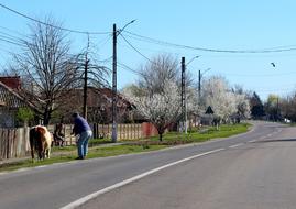 Street Village T