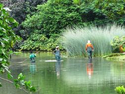 Fishing People forest river