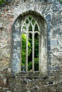 Beautiful, old building with the window, in Muckross, Ireland, near the green plants