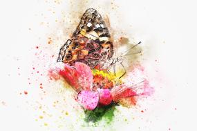 butterfly insect art abstract