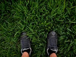 legs in black sneakers on the lawn