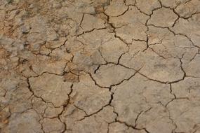 Cracked Dirt Texture