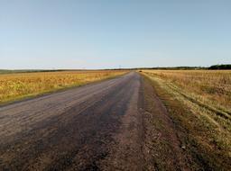 Road Field The Way