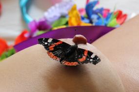 Breast Nipple Butterfly