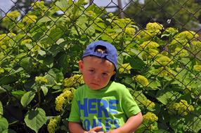 Child Summer green flowers