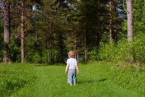 Child green Forest