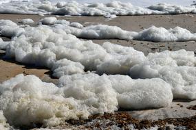 Ocean Foam on beach