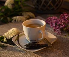 flowers near the coffee mug