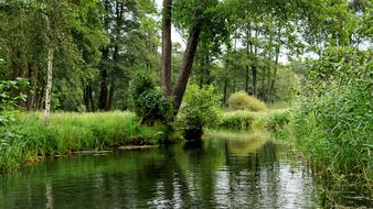 Spreewald Channels Depth