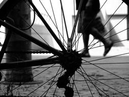Barcelona Street Bicycle Black And
