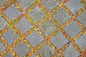 Stone Pavement Tile pavement