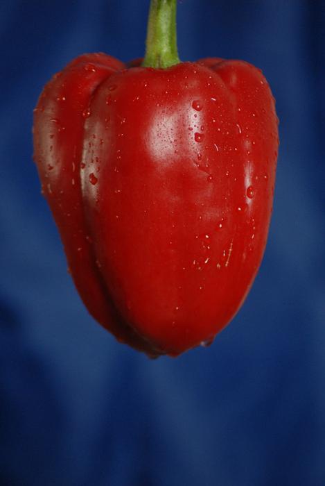 sweet ripe peppers on a blue background