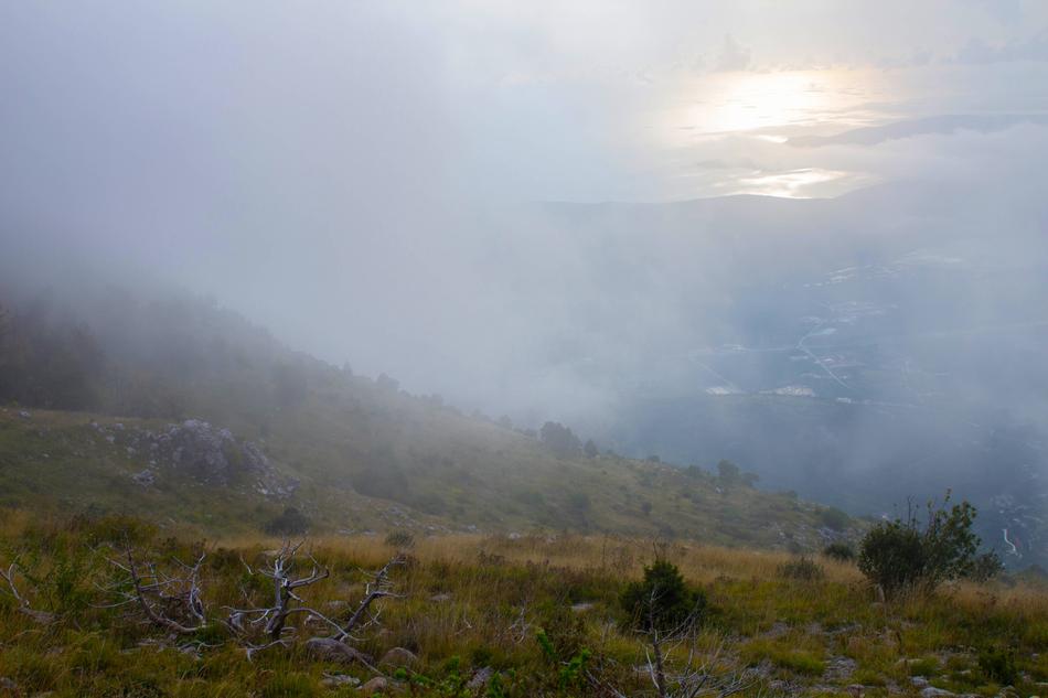 Fog at Nature view