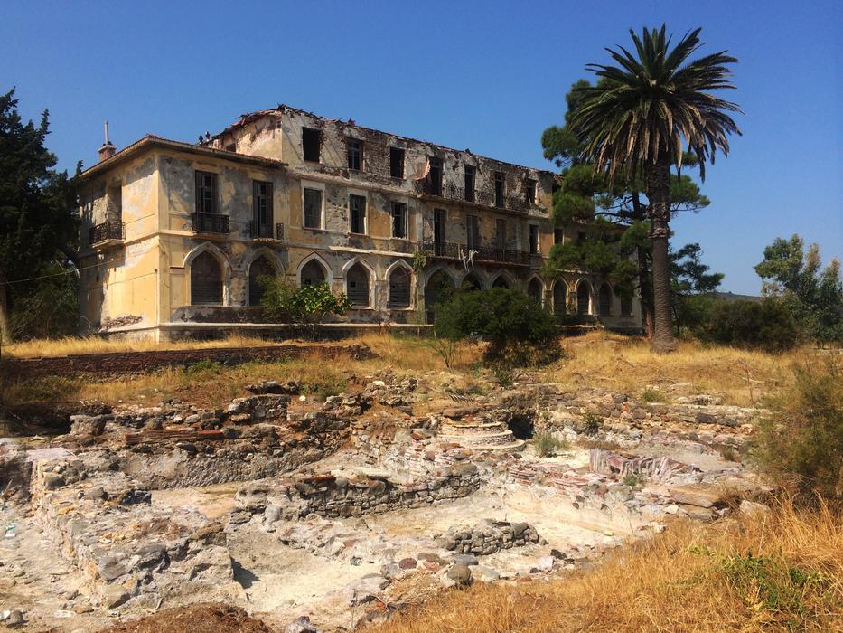 palm trees and empty abandoned building