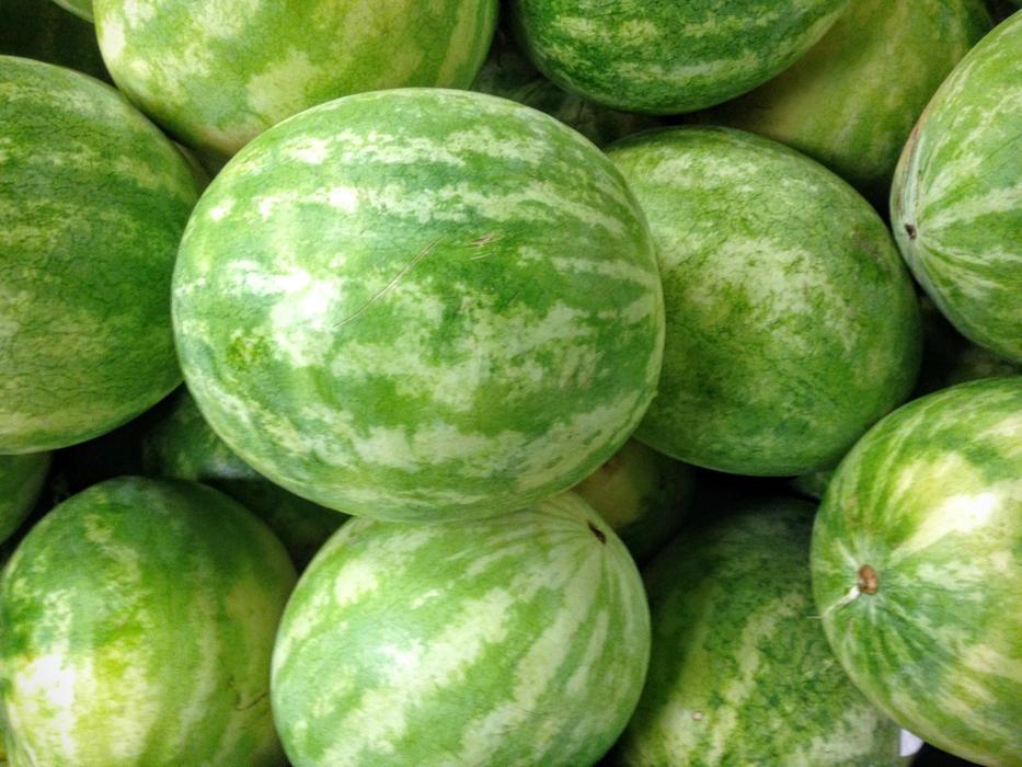 Useful summer watermelons