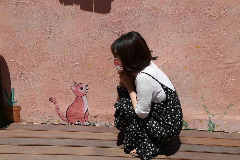 Cat Paju Provence