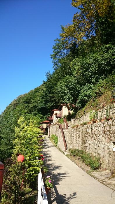 road near the stone fence