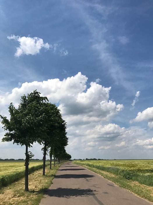 Sky Road Nature