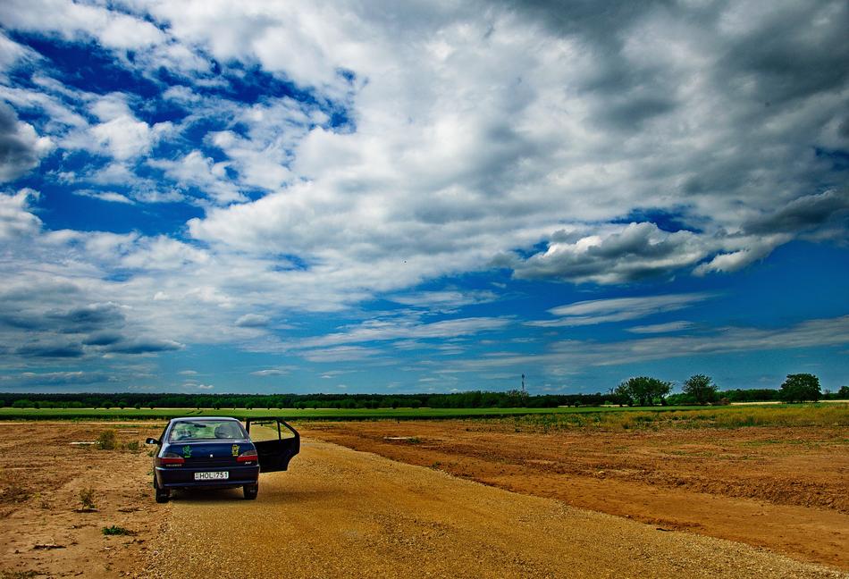 car in a wheat field
