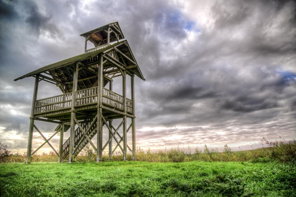 Birdwatcher House