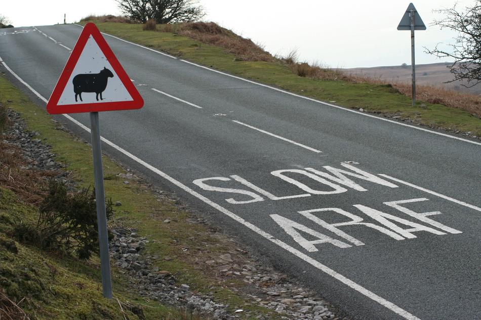 Slow Araf Sign