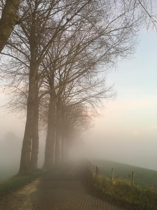 Road Foggy